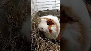 Работать - это не моё