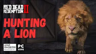A Lion is Loose in Town! (RDR2’s Wildest Moment) SIDE QUEST | RX 6700 XT