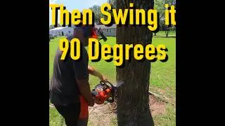 How to Plunge Cut #chainsaw #treefelling #logging #firewood #stihl