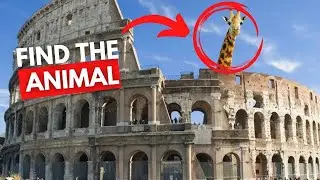 Can You Find The Hidden Animals? Animal Quiz