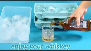 ITWIST Large Round Ice Cube Tray