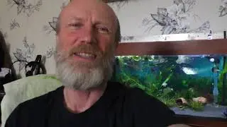 ВЕСЕННЯЯ ОХОТА под угрозой / АКВАРИУМ ДЛЯ ВНУКА