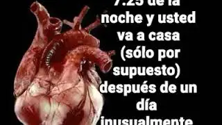 Informaciones importante