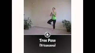 Digital Workout 5 Apps to Keep you fit