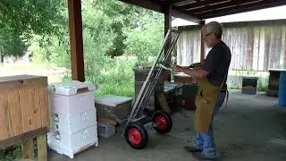 The old guys finally get a hive lift. Oh happy day!