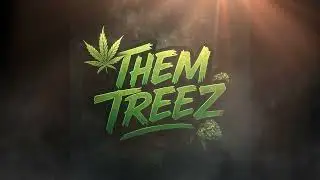 Rollin Threw The Pines