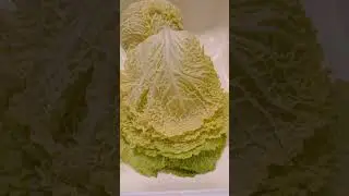 #Kelj