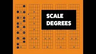 Understanding Scale Degrees: The Key to Mastering Music Theory