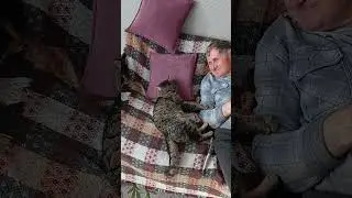 Кот нервничает...