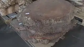 экзотика слэбы в вудстоке