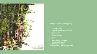 Colongib & Christopher Graves - Special Rumble (2000, Kracfive)