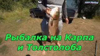 Рыбалка на Карпа и Толстолобика с ночевкой...