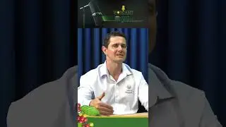 Podcast ao vivo: Procafe Responde #shorts