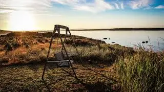 Soothing Guitar Music   Instrumental Relaxing Background Music for Studying, Working or Meditation