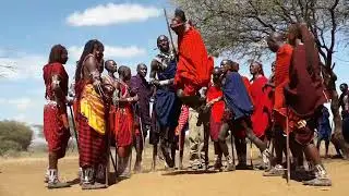 Incredible Maasai jumping dance