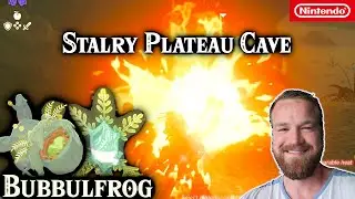 Stalry Plateau Cave | Bubbulfrog Bubbul gem | Zelda Tears of the Kingdom