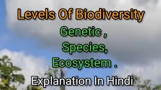 Levels Of Biodiversity (Genetic , Species , Ecosystem Diversity) | In Hindi