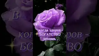 про цену жизни!( цитата со смыслом)