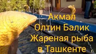 Akmal Oltin Balik, Akmal Oltin baliq fried carp fish in Tashkent