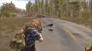 NextDaySurvival