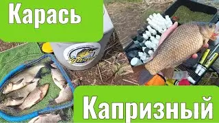 Ловлю капризного карася !