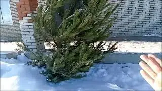 Поматросили и бросили