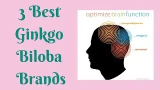 3 Best Ginkgo Biloba Brands