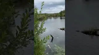 На рыбалке, кайф