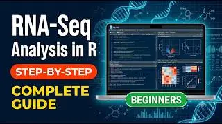 RNA-Seq Data Analysis in R: An Effective Step-by-Step Guide