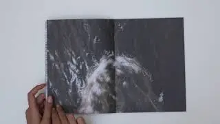 BIBLIOTECA CEF - Tiempo de árbol, Marcelo Brodsky.