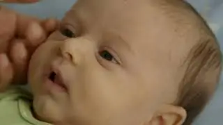 👶 CONOCE MÁS DE PROVI BABY 👶