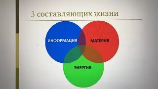 Энерго информационное наполнение организма