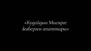 20 Кудайдын Мисирге жиберген апаттары