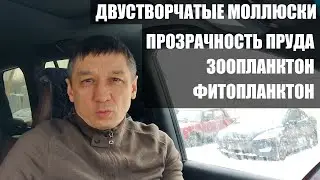 Двустворчатые моллюски. Прозрачность пруда. Зоопланктон. Фитопланктон