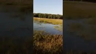 Макинск