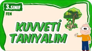 Kuvveti Tanıyalım 📗 3.Sınıf Fen 