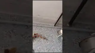 Течет с потолка