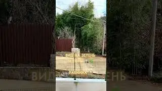 💠Таунхаусы в Сочи по цене однушки • 12 минут до моря и олимпийского парка •  Купить квартиру в Сочи