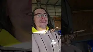 Quick Talk On Shearing 200 Head In A Day (American Fine Wool Sheep)