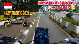 AMAZING, HILEY TIGER 10 2024 ON THE FUN STREET