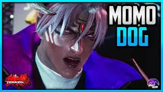 T8 v1.06 ▰ MomoDog Most Entertaining Devil Jin !!【Tekken 8】