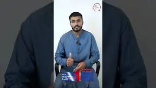 Teacher's Day Special! Students Share Heartfelt Reviews