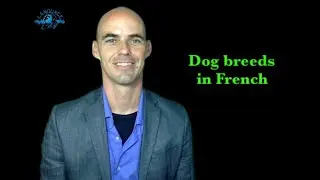 French lesson for homeschoolers