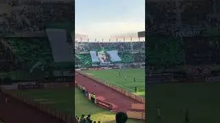 koreo Bonek
