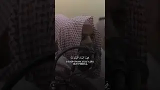 Все видео в хорошем качестве есть в телеграмм канале, ссылка в шапке профиля!!