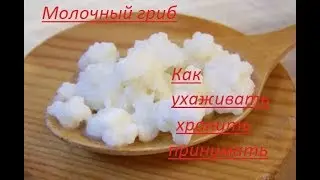 Молочный гриб .Уникальное средство.