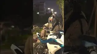 kucing mau naik motor #shorts