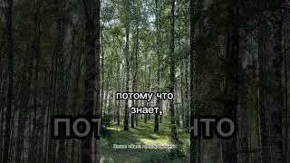 Послание для тебя ❤️