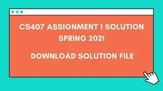 CS407 Assignment 1 Solution Spring 2021