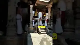 உலகிலேயே மிகச் சிறந்த மணி எது தெரியுமா #shorts
